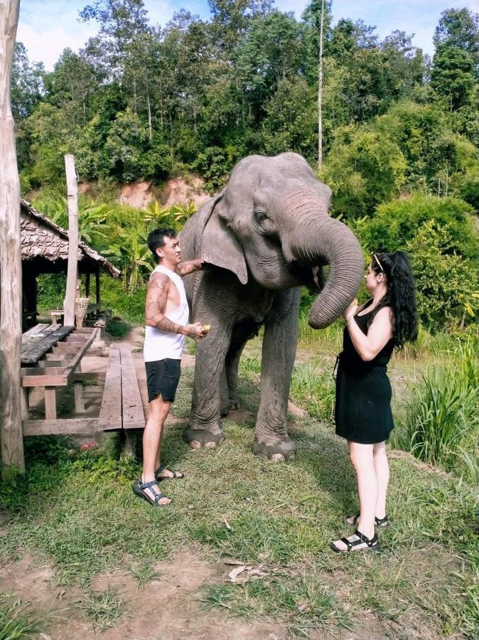 Funky Monkey Cnx - Guesthouse Chiang Mai Esterno foto